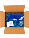 Whale in The Mail