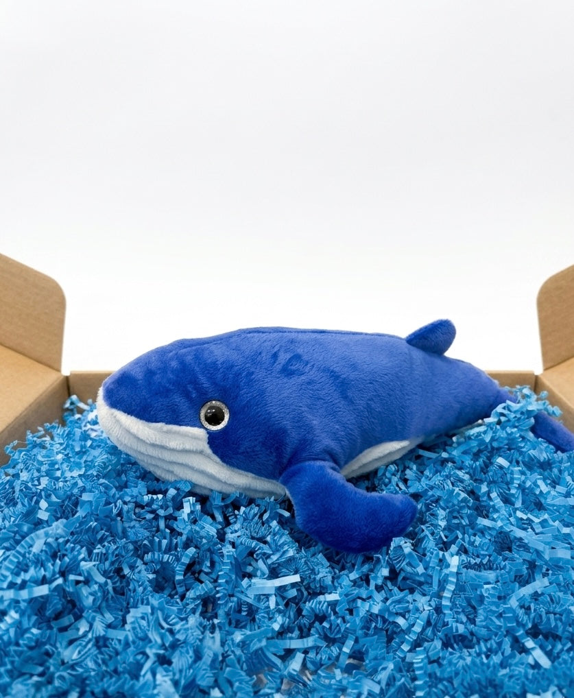 Whale in The Mail