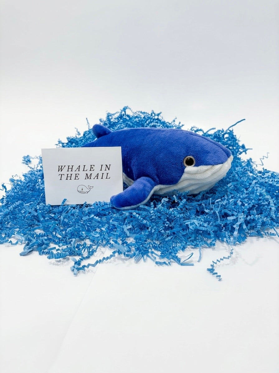 Whale in The Mail