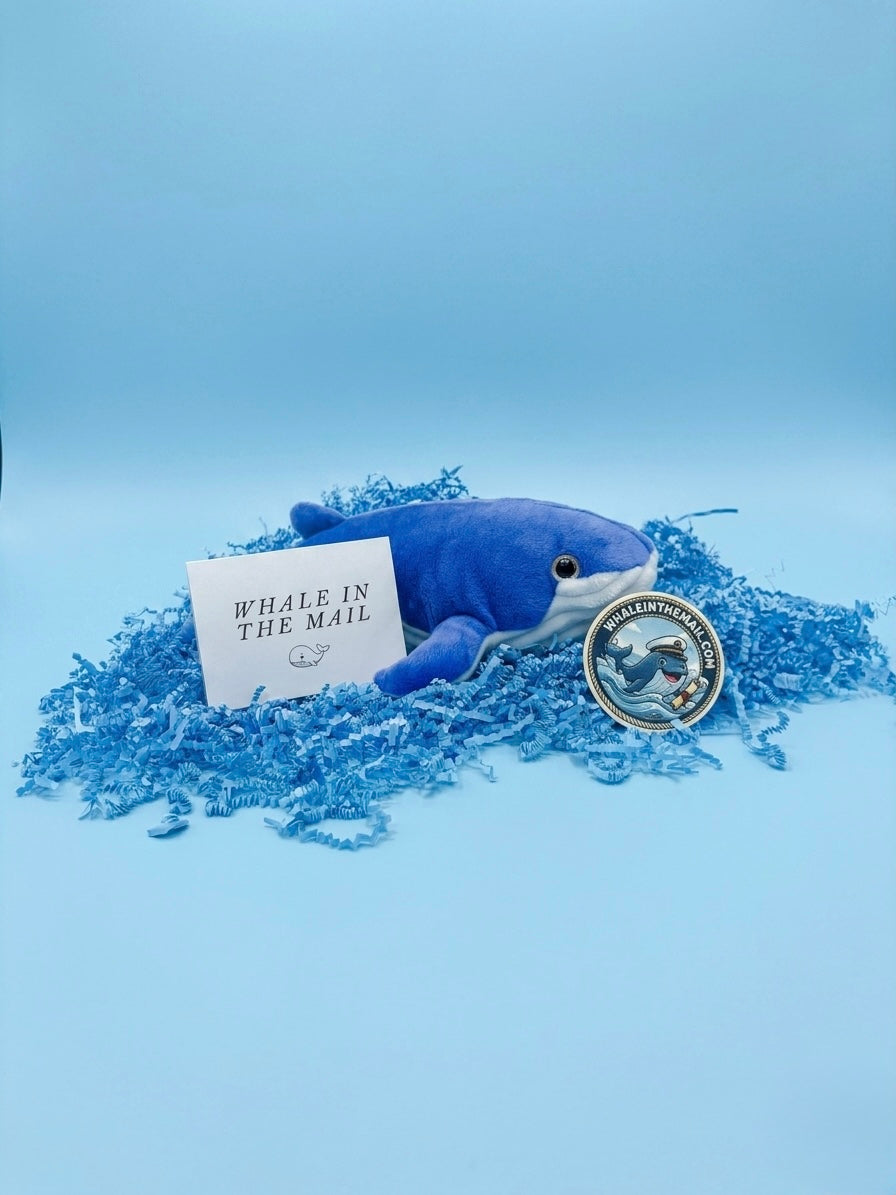 Whale in The Mail